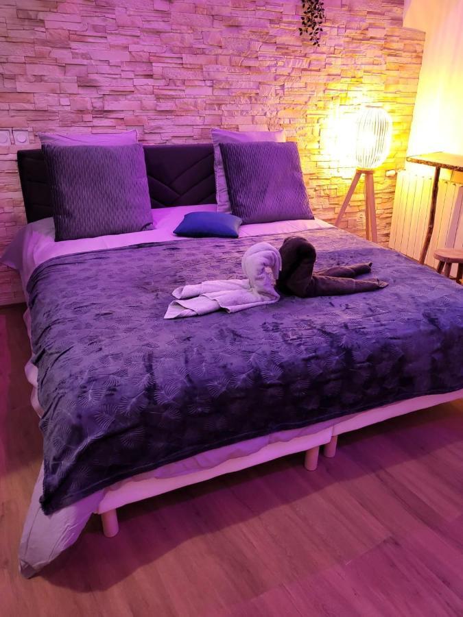 Le Spa De La Cathedrale - Jacuzzi - Sauna - Champagne - Netflix - Wifi تروي المظهر الخارجي الصورة